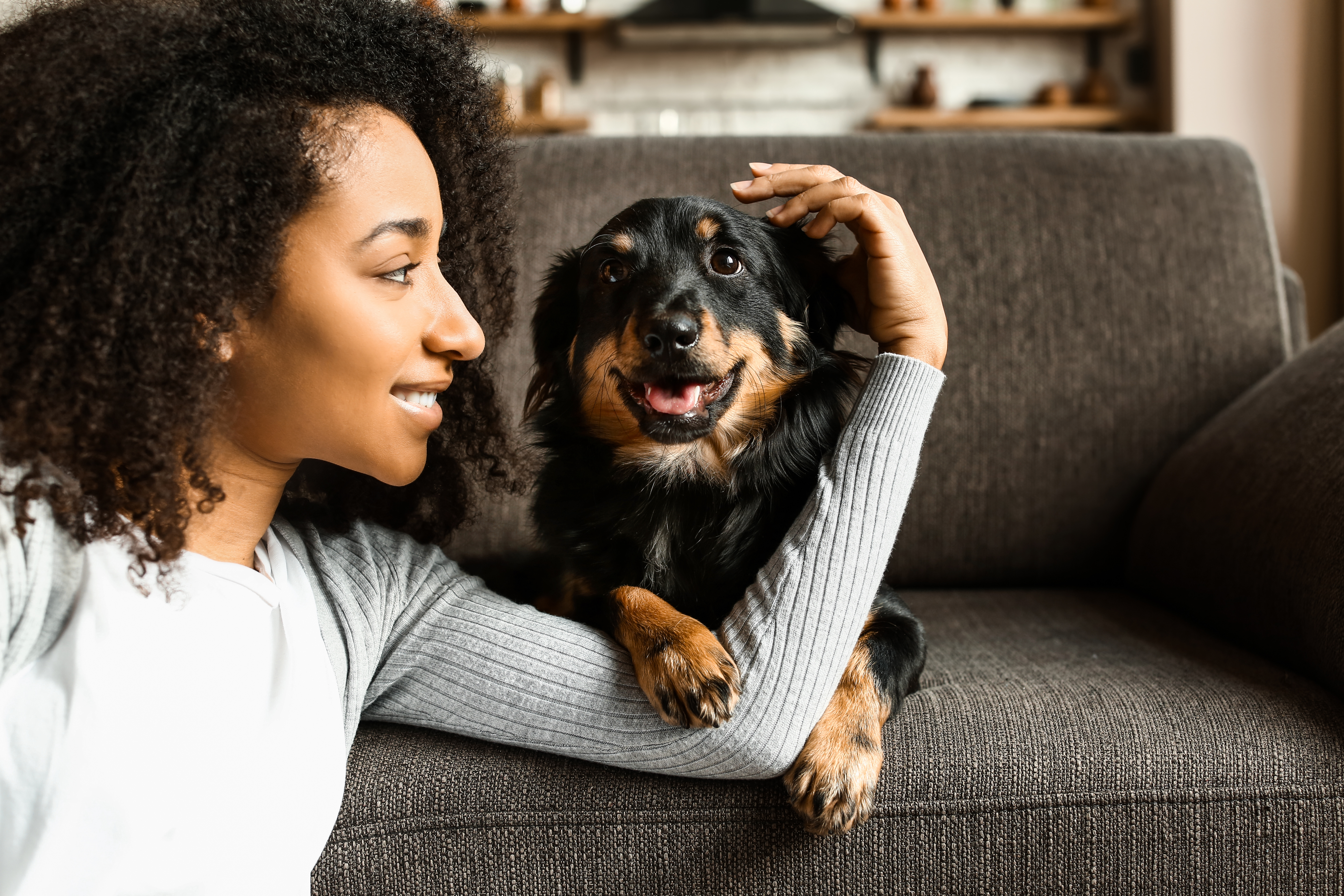 Woman sitting on couch with dog