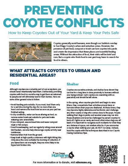 Prevent Coyote Conflicts