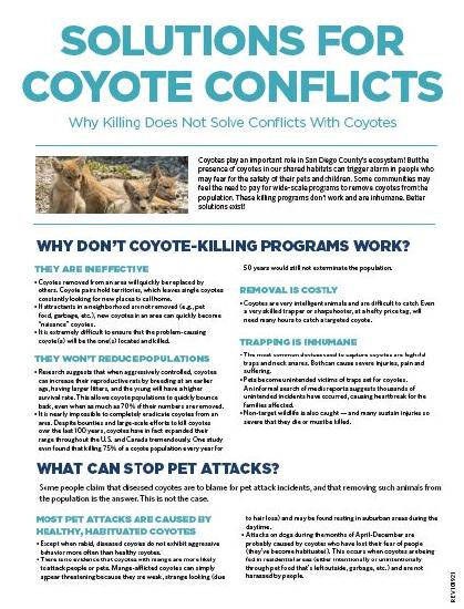 Solutions for Coyote Conflicts