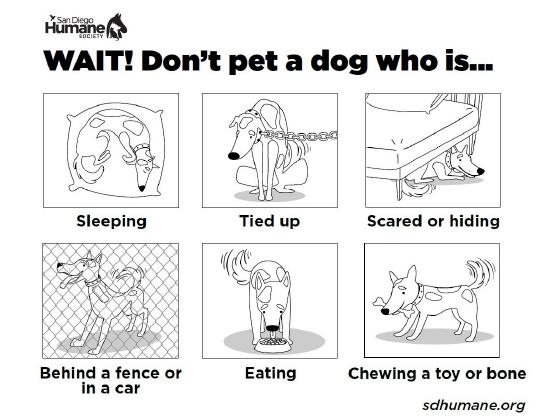 Dont pet a dog.jpg