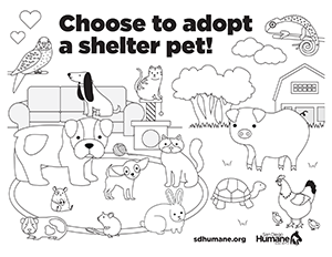 choose-to-adopt.png