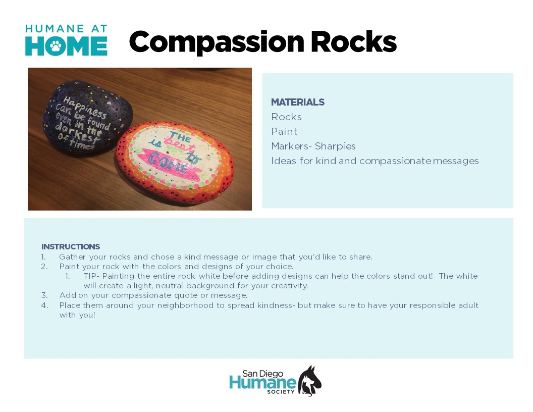 Compassion Rocks.jpg