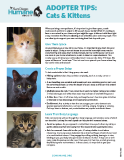 Adopter Tips Cats and Kittens Thumbnail.PNG