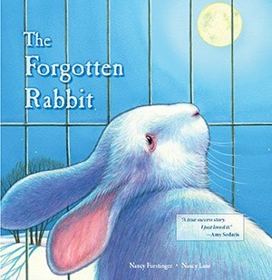 The Forgotten Rabbit cover.jpg