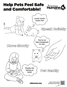 Help Pets Feel Safe and Comfortable.png