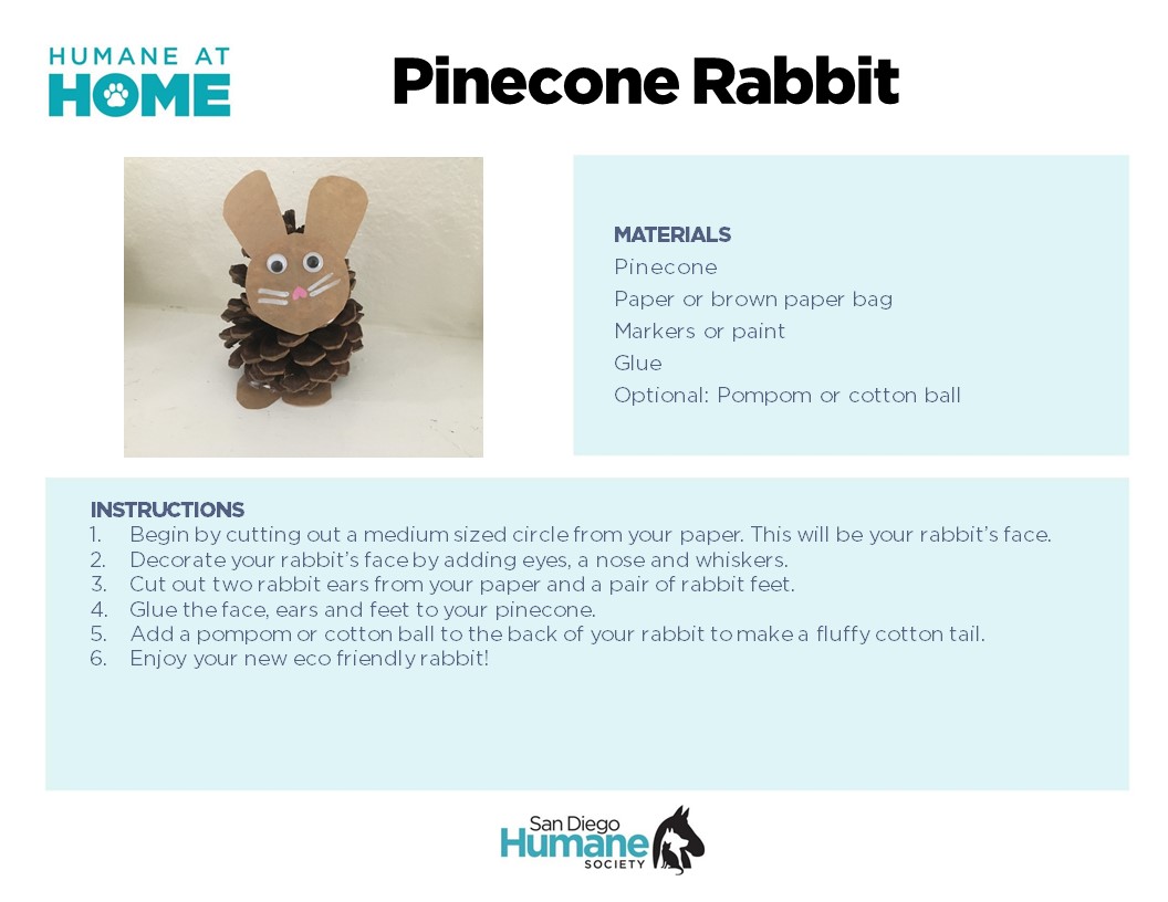 Rabbit Pinecone.jpg