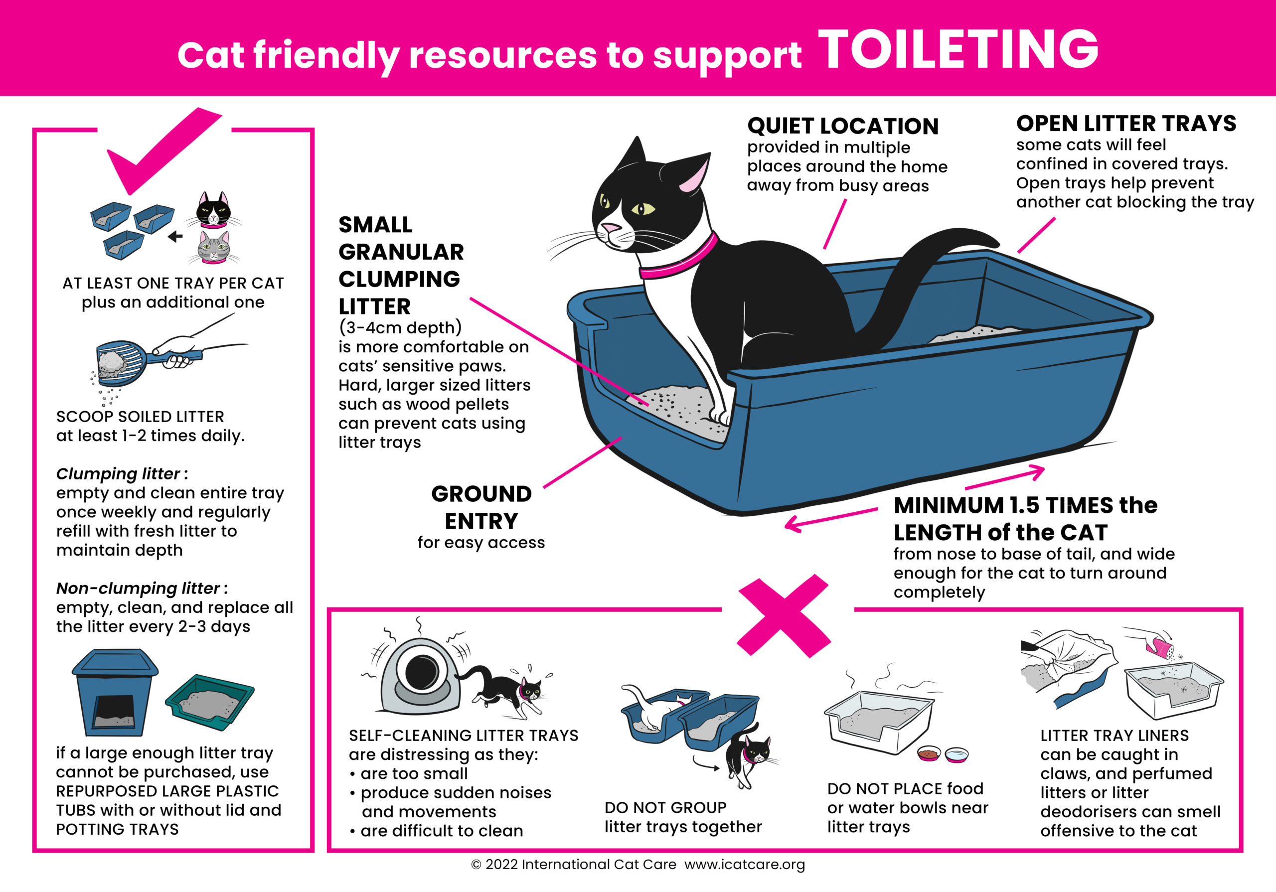 Cat-Toileting.jpg