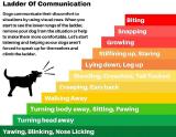 Ladder-of-Communication.jpg