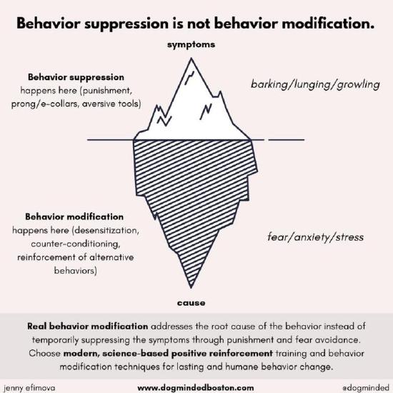 Behavior-Suppression-iceberg-graphic (1).jpg